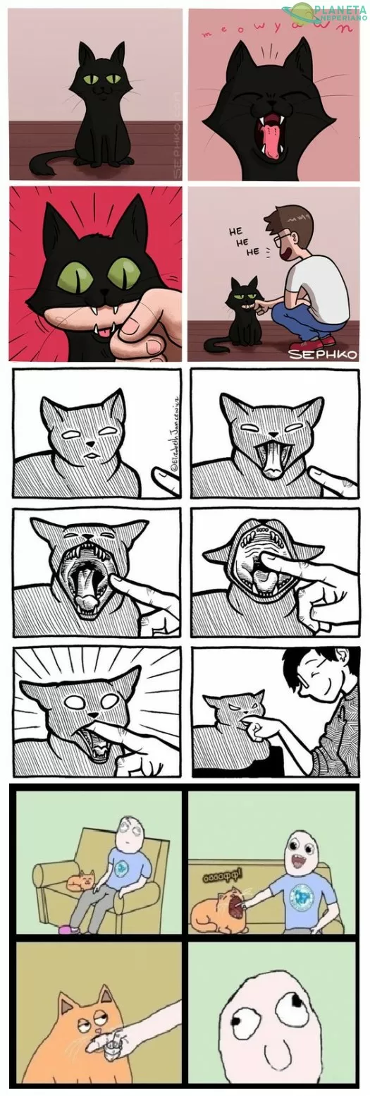 Para los que tienen o tuvieron un gato, todo lo hemos hecho alguna vez