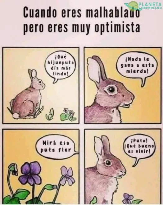 Que p*** felicidad que tiene el conejo de mi**** ese