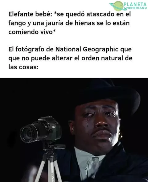 Pero un cazador furtivo si... no, momento...