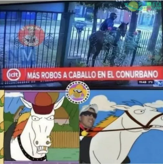 Reiría por ver una persecución entre caballo y patrullero de poli