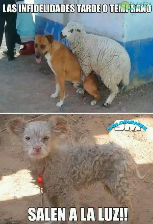 ¡JA!... mestizaje interespecies, momento... ¿khe?