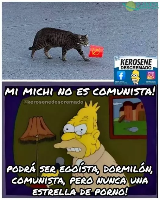 Por supuesto que es absurdo... ¿donde has visto un gato que sea estrella de porno :D?