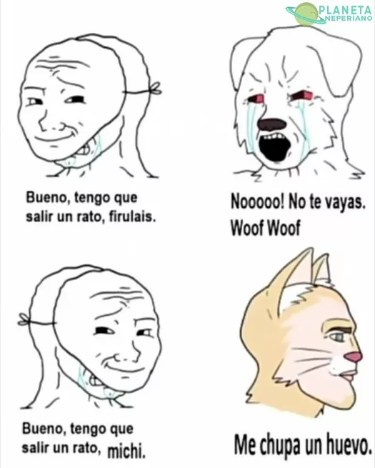 Diferencias entre perros y gatos