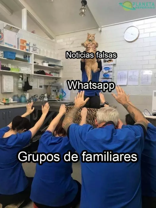 Whatsapp y las noticias falsas...