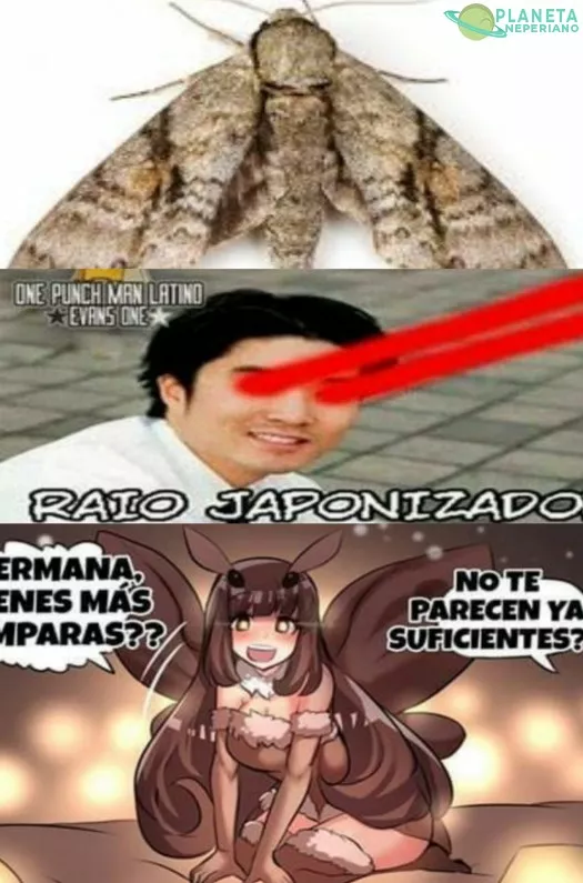 El rayo japonizador