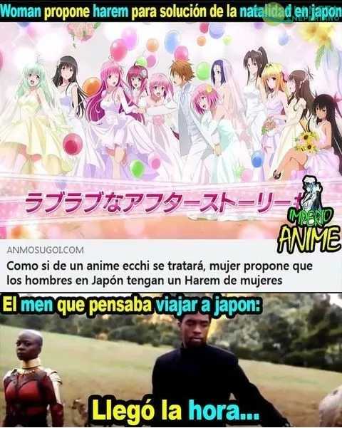 A JAPÓN LOS PASAJES !!!