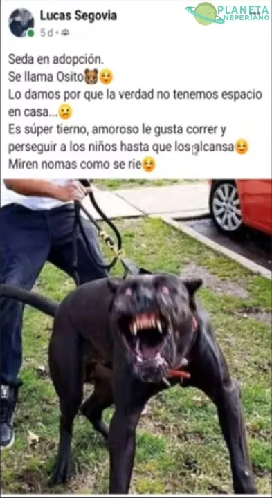 Maldito perro infernal, regresa al abismo de donde viniste 