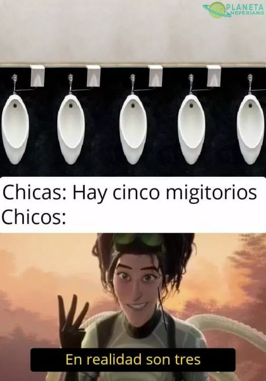 COSAS DE GANZOS