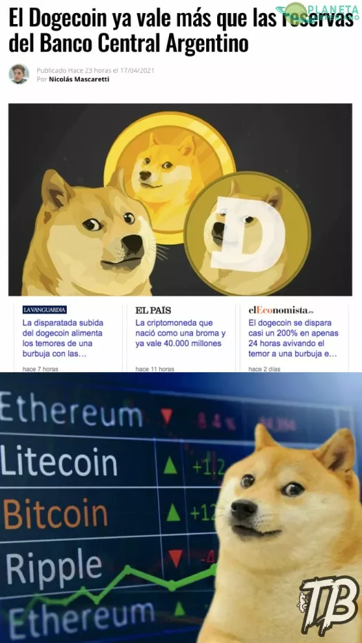 Dogecoins la moneda que debeis de comrar ya