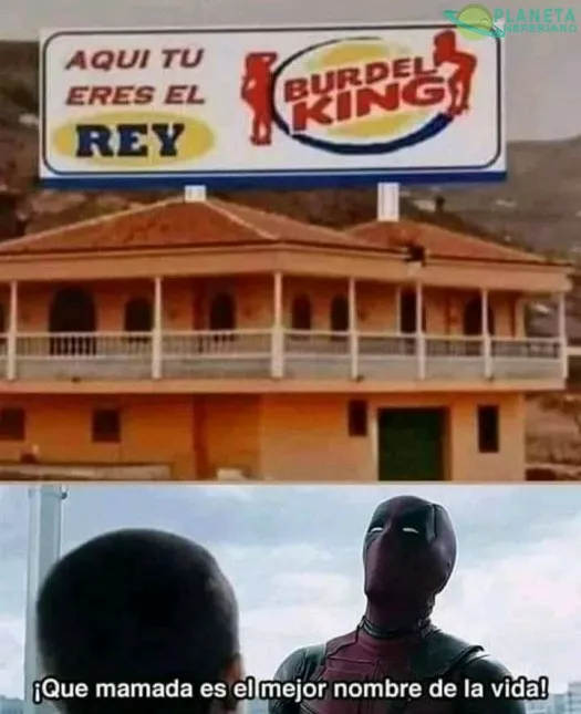 Aquí tu eres el Rey