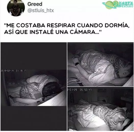 eso explica muchas cosas