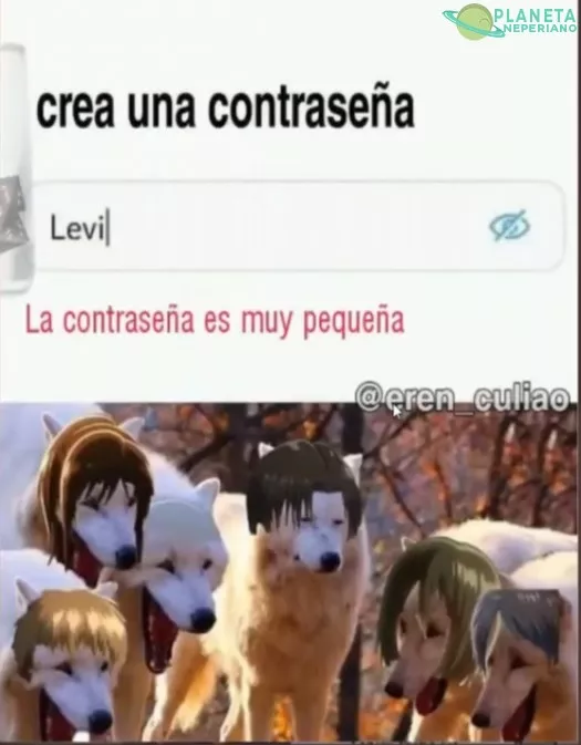 Pobre Levi, su autoestima debe de ser 