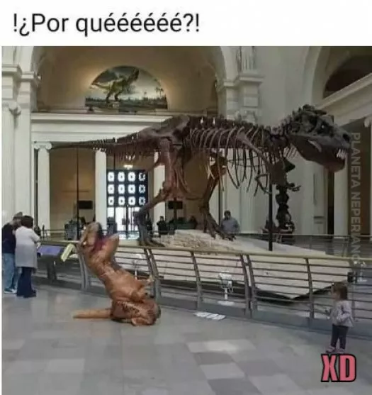 T`rex Locaso 