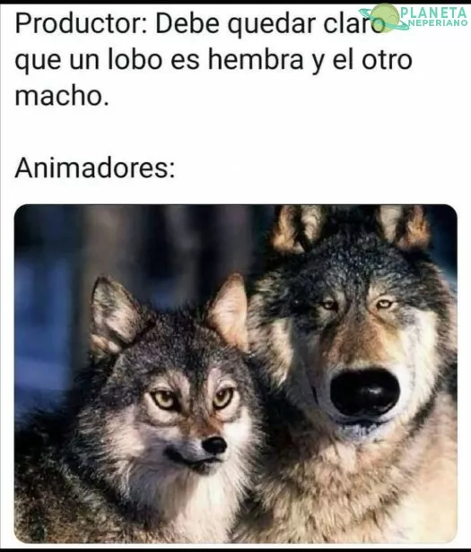 SON MUY DISCRETOS