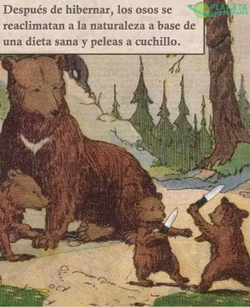 supongo que seran osos rusos