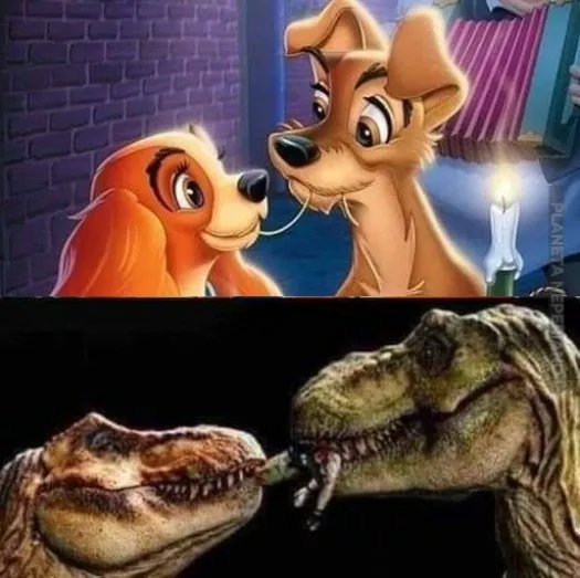 Aayyy , El amor  :)