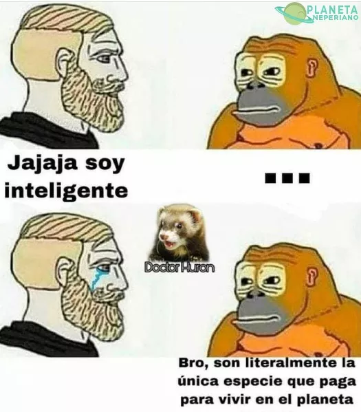 Somos tan estupidos