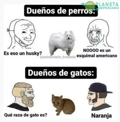 SIMPLES Y ADEMAS LINDOS