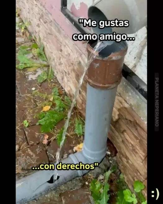 La tarea Fallo Exitosamente 