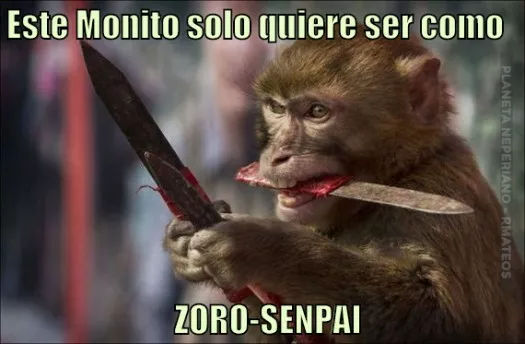 Discípulo de Zoro...