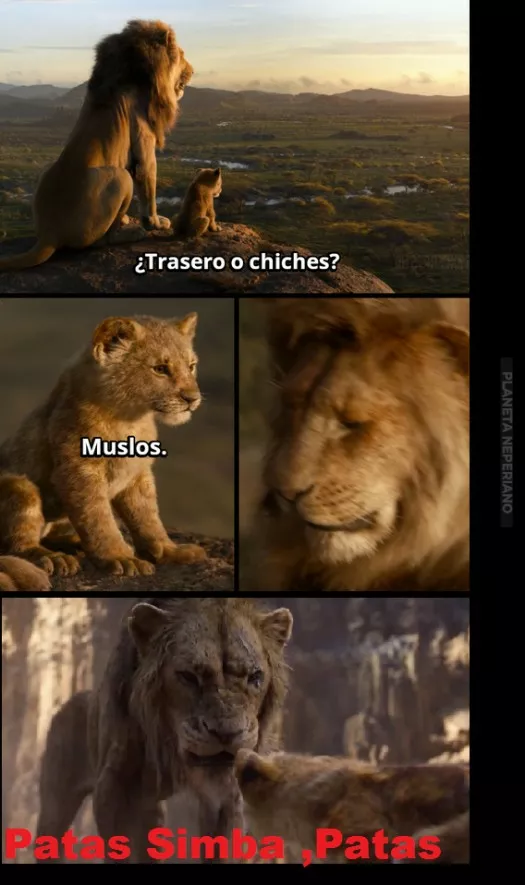 Mufasa is dead