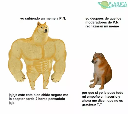 solo falta que me rechacen este también T.T