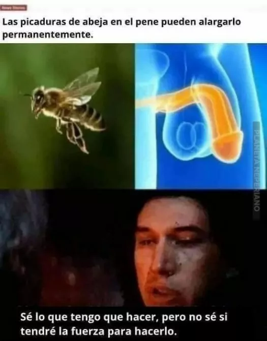 Decisiones , (Ave maria) , cada dia 