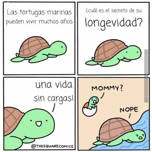 :) 