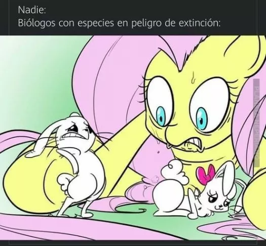 chingaaa