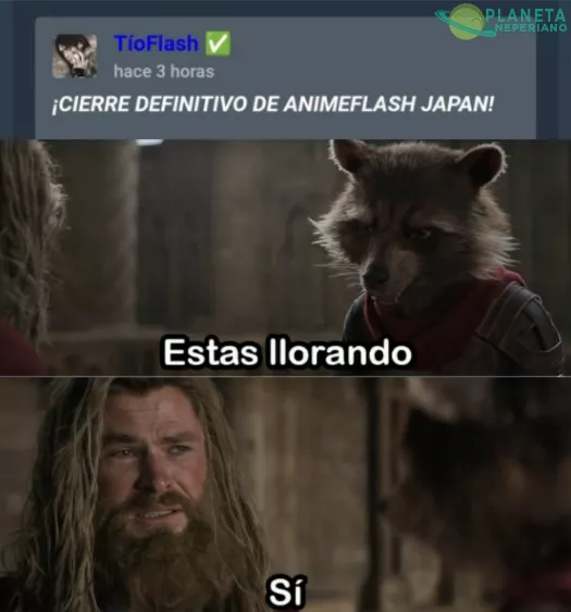 Siempre estarás en mi pestaña de favoritos Animeflash