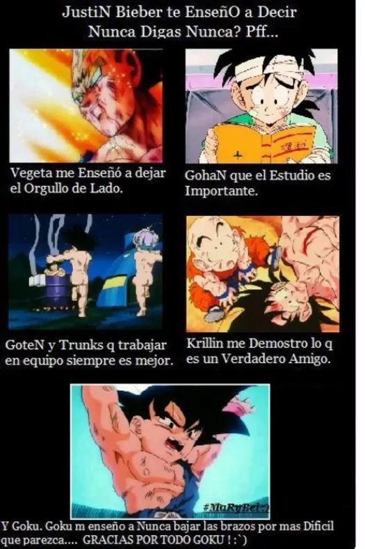 Gracias por todo Goku!!