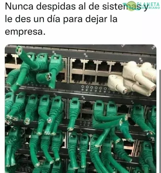 despide con decoro a un ingeniero de sistemas