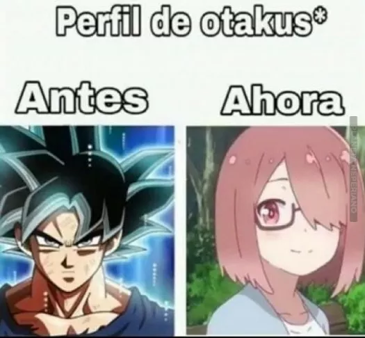 Muy cierto :v