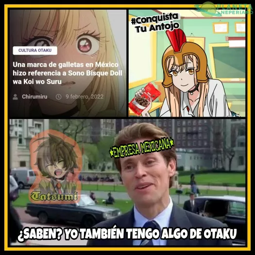 MÉXICO STONKS!