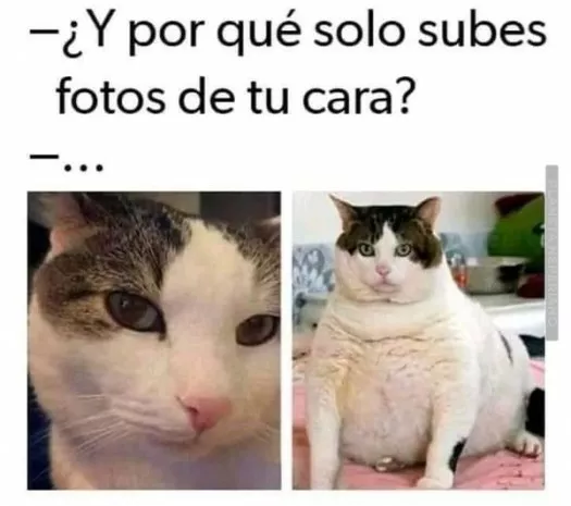 ultimo meme , pueden poner los memes a 3 horas , que yo me piro.