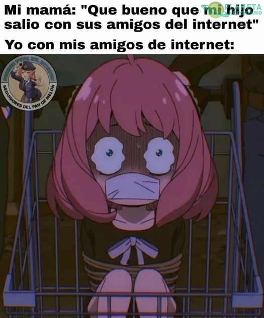 Los amigos de internet suelen ser buena onda o buenos cirujanos XD