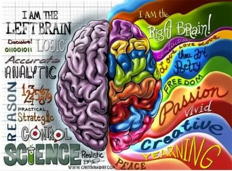 Y ¿qué lado de cerebro eres tú?