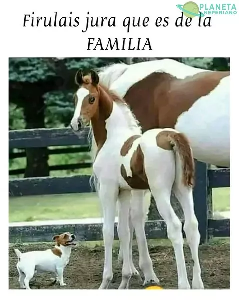 Esa no es tu familia