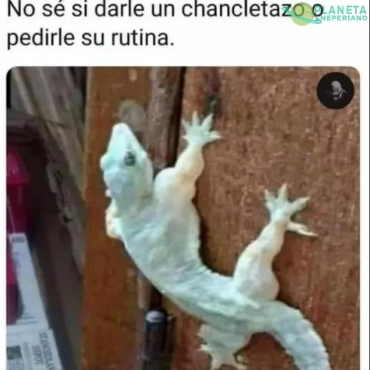 Esta en la raja 