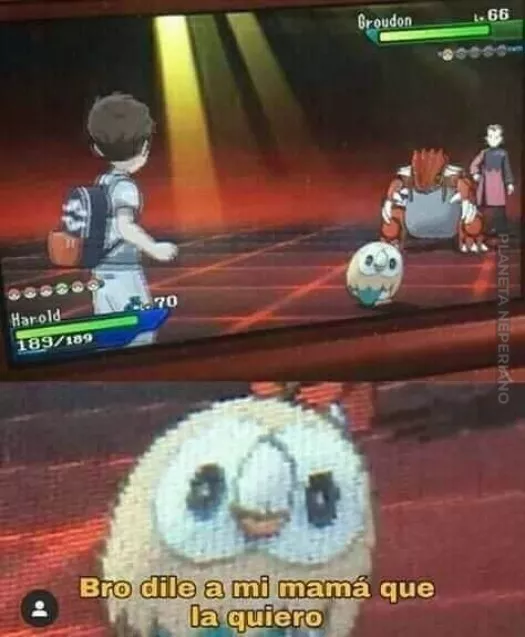 Rowlet