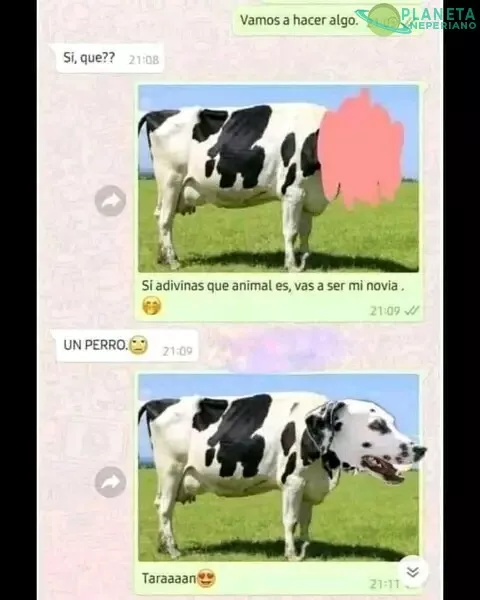 Maravillosa jugada xD