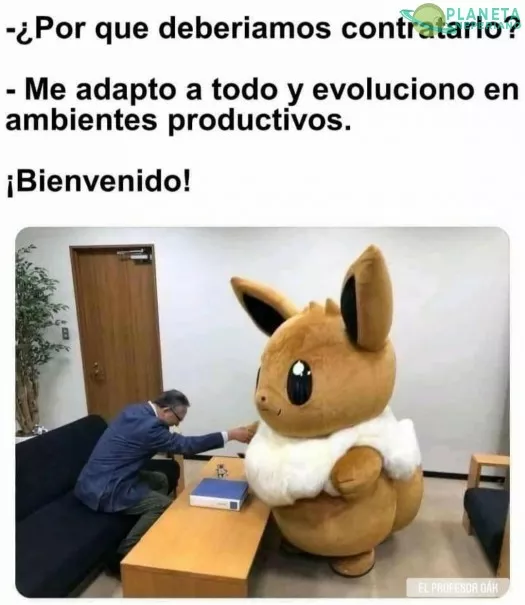 Si lo pensamos bien, somos un eevee