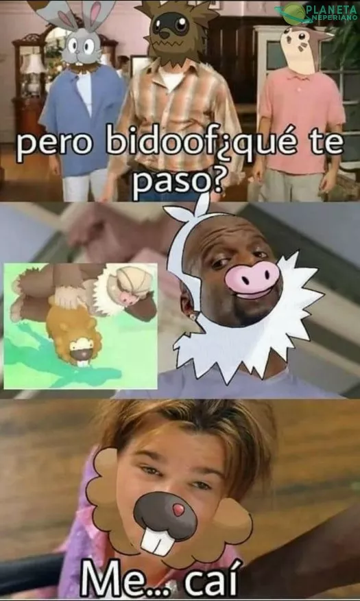 Noooo bidoof, F por el pokemon esclavo