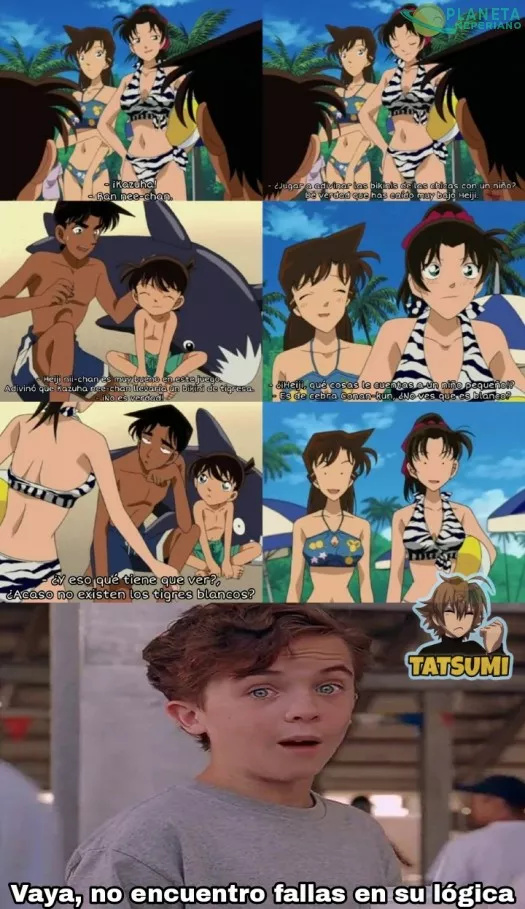 YO DIGO QUE ES UN CABALLO BLANCO AL QUE LE PINTARON RAYAS NEGRAS :V