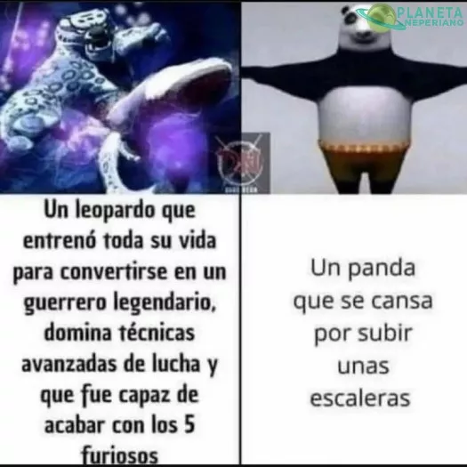 tenia el guion de su lado y no por nada la película se llama kun-fu panda 