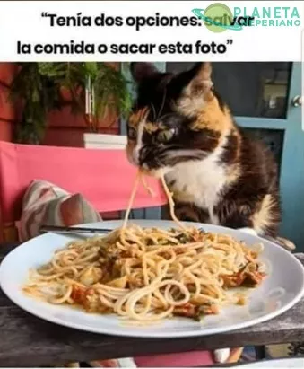 valio la pena, pero a que costo, ah cierto, la comida :,v