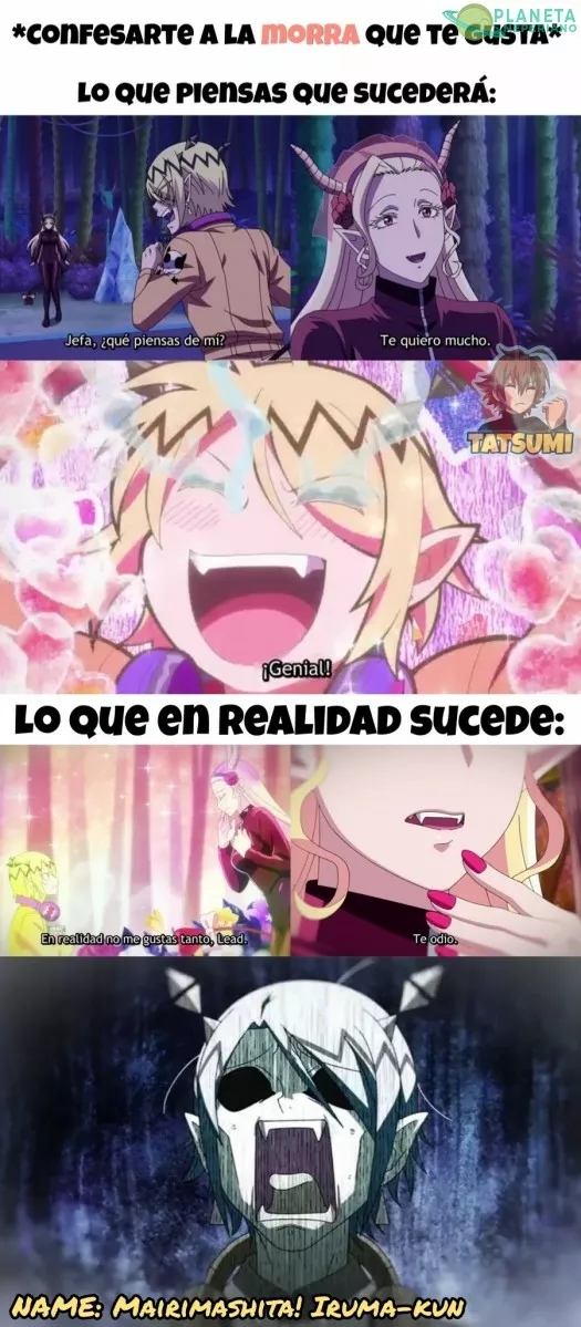 CONFESIONES (EXPECTATIVA VS. REALIDAD)