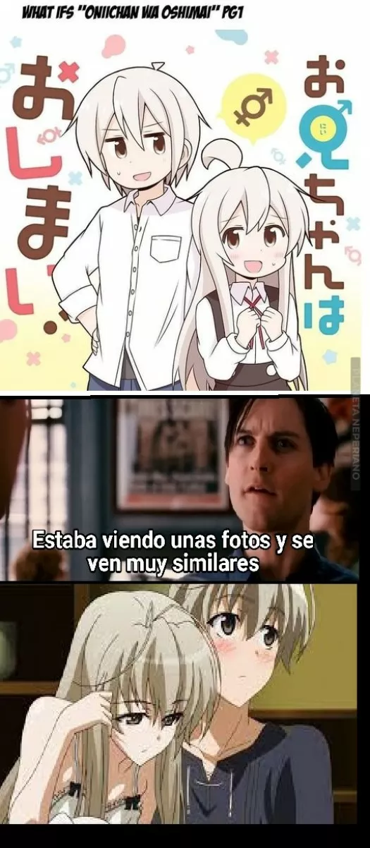 con que de ahí se inspiro Onimai
