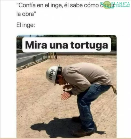 si hizo una tortuga en sombra, es un experto