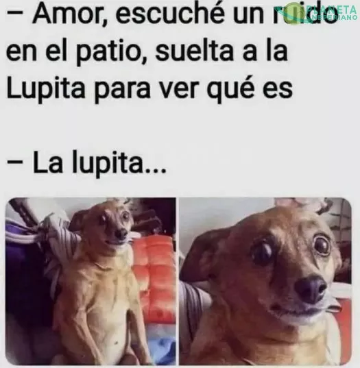 lupita vio cosas que no puede imaginar